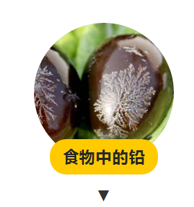 鉛4 (2).jpg