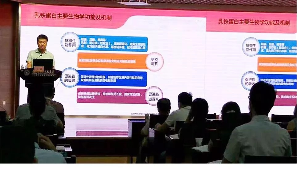 乳鐵蛋白|乳糖酶|DHA|維生素